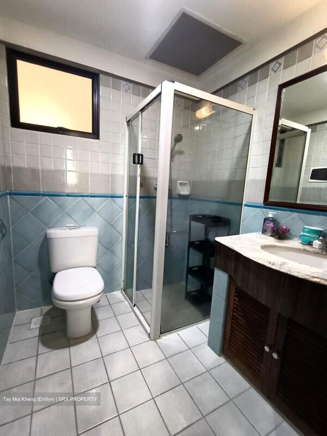 Dover Parkview (D5), Condominium #498736471